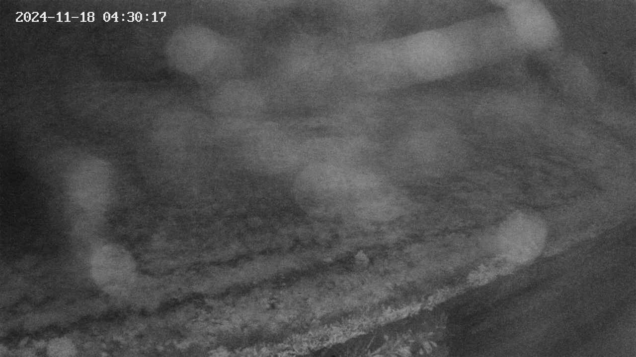 area9-20241118043017.jpg