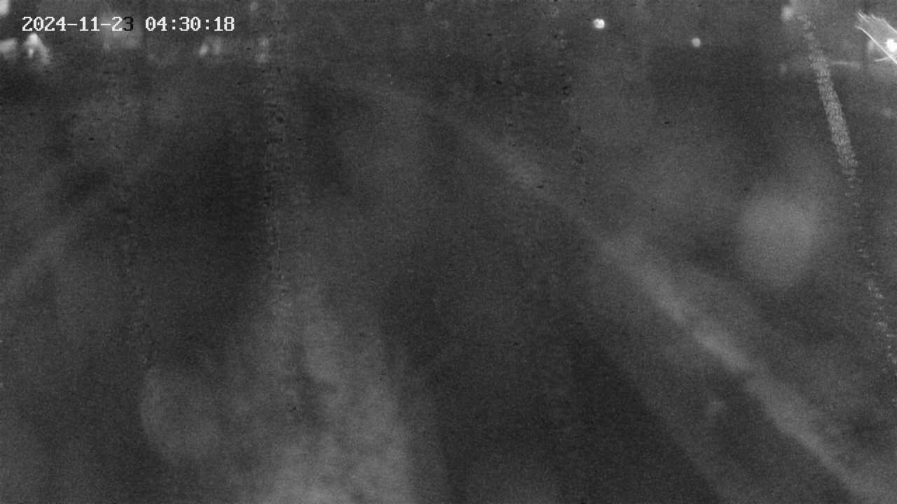 area9-20241123043018.jpg