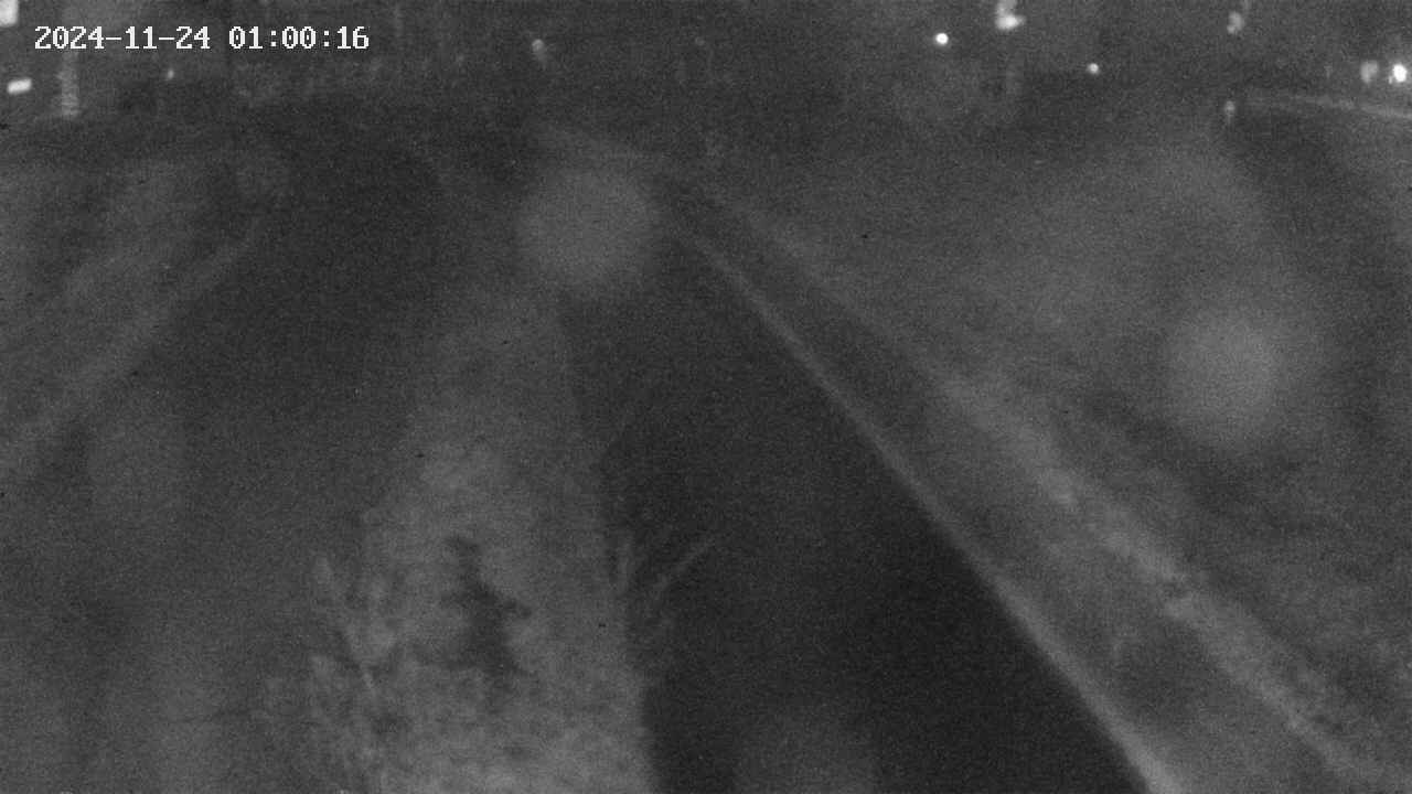area9-20241124010018.jpg