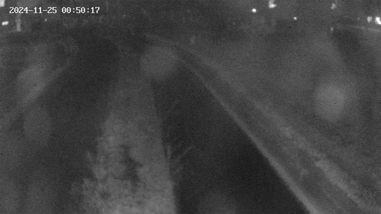 area9-20241125005019.jpg