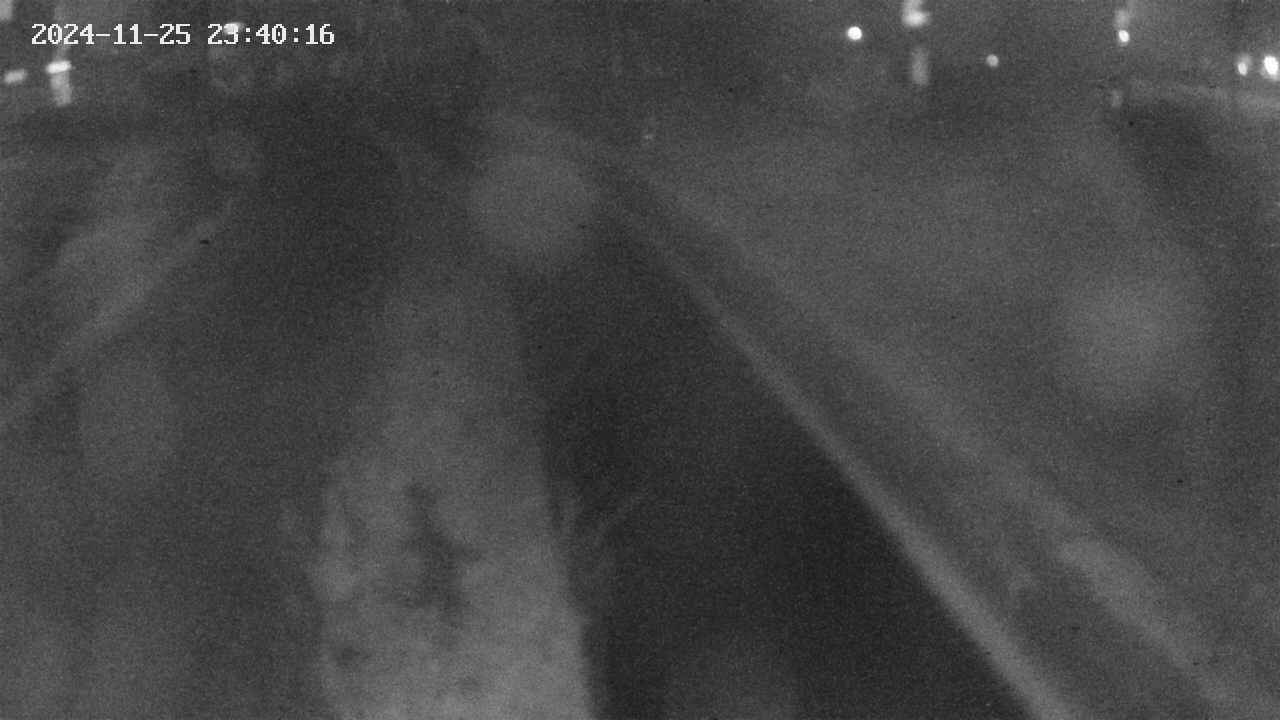 area9-20241125234018.jpg