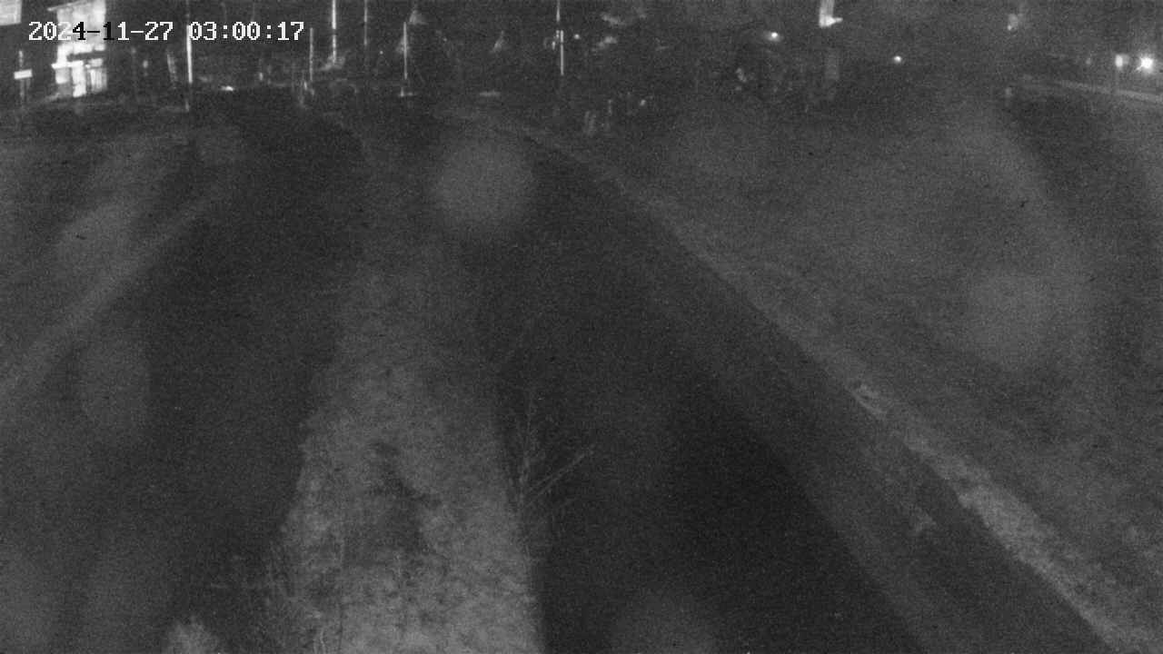 area9-20241127030018.jpg