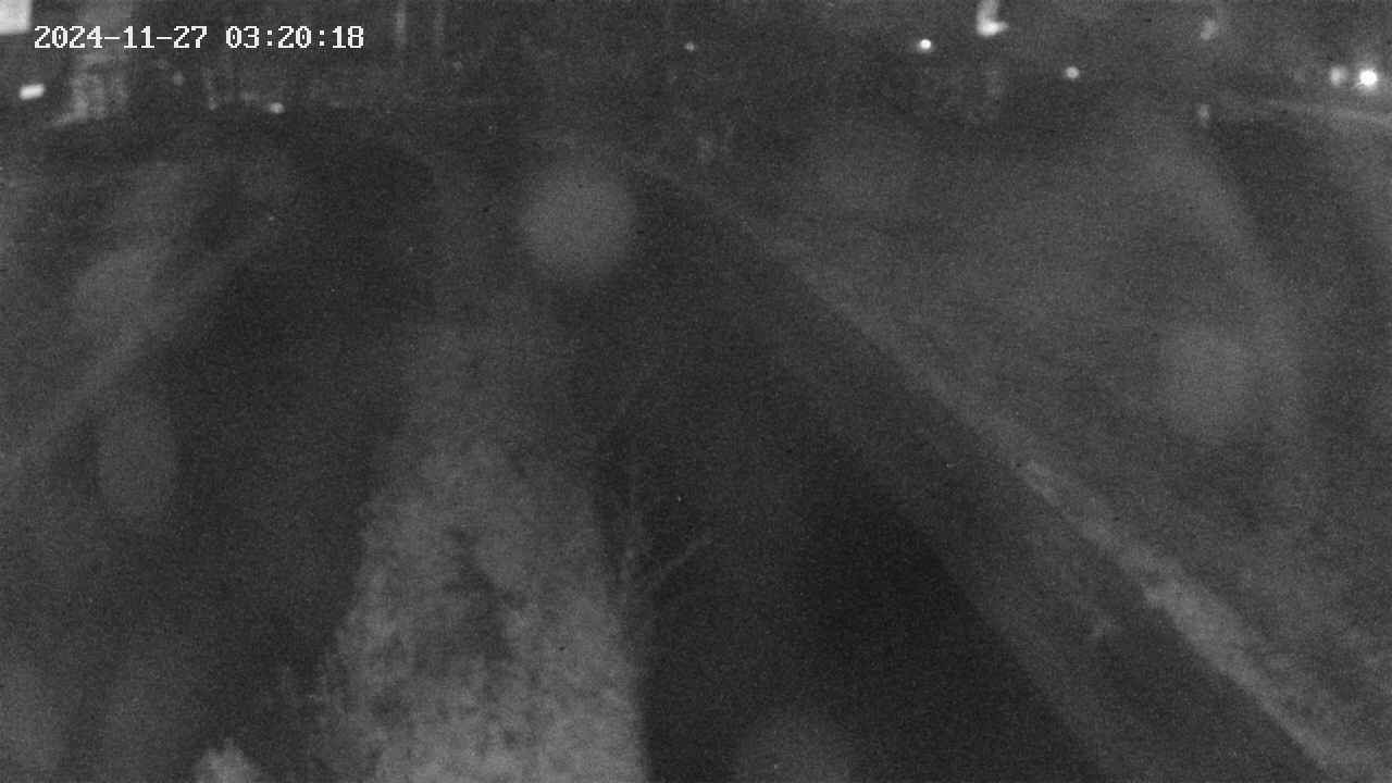 area9-20241127032018.jpg
