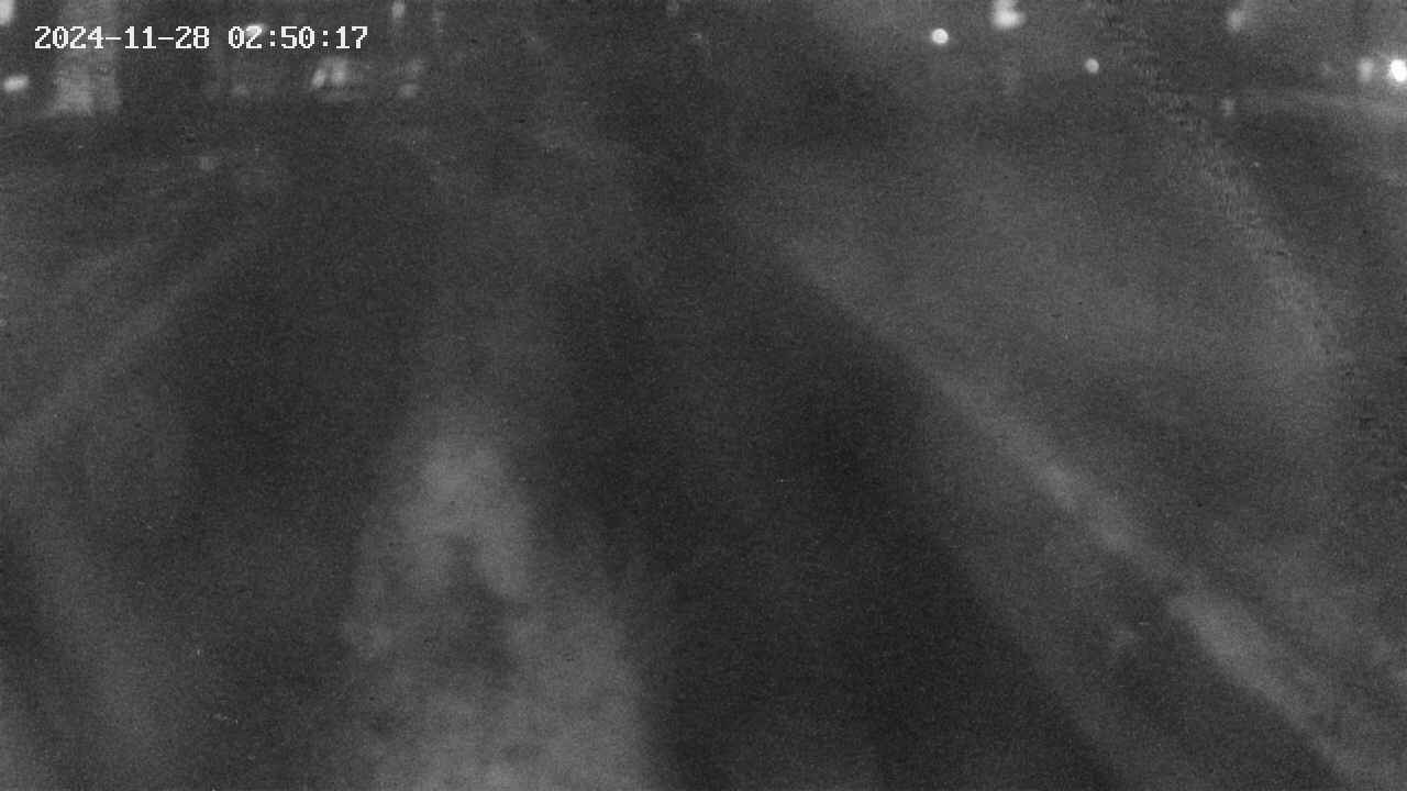 area9-20241128025019.jpg