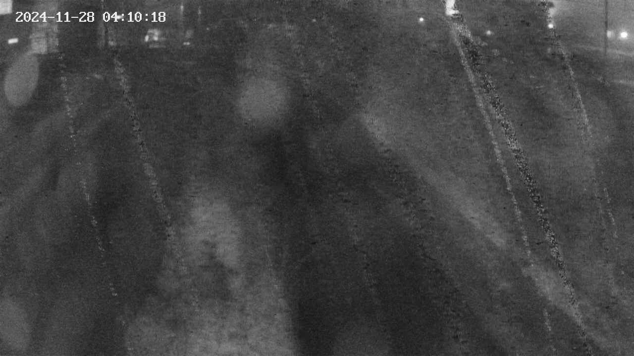 area9-20241128041019.jpg