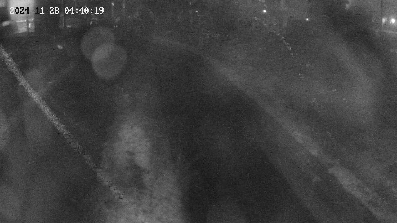 area9-20241128044020.jpg