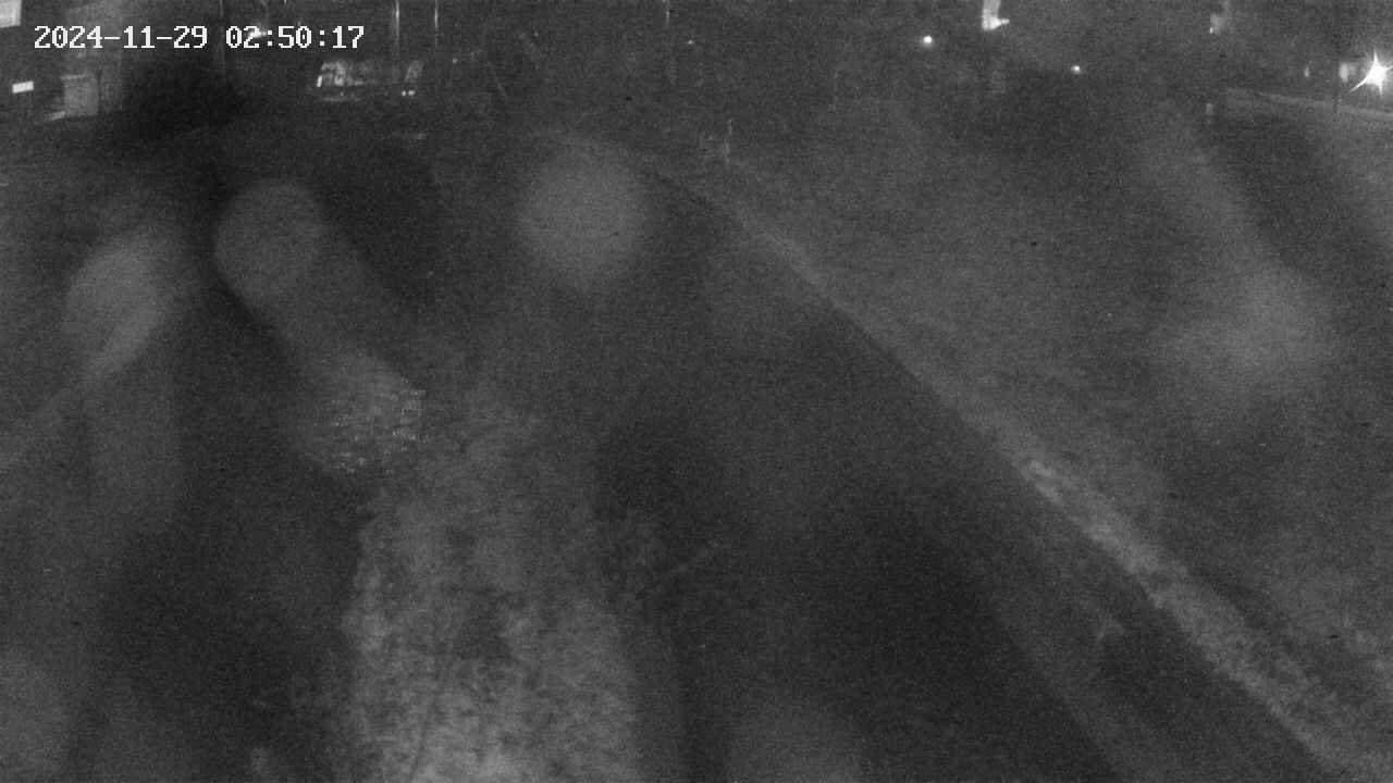 area9-20241129025018.jpg
