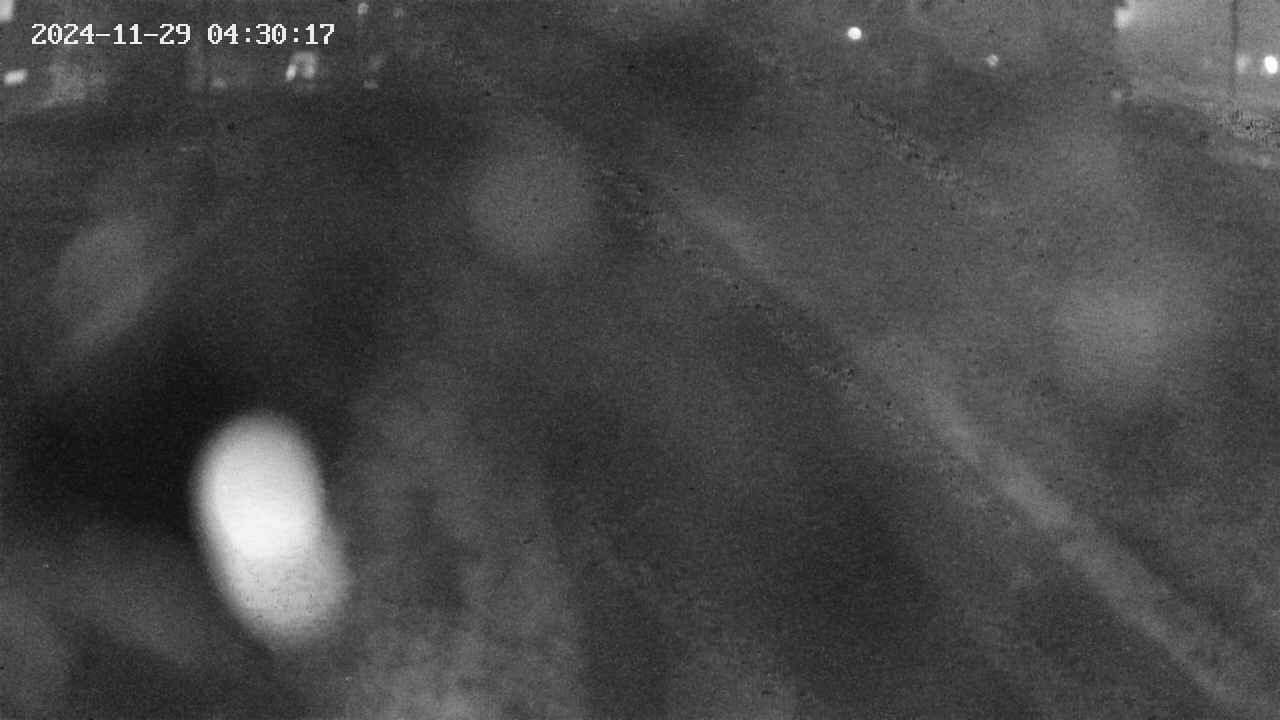 area9-20241129043017.jpg