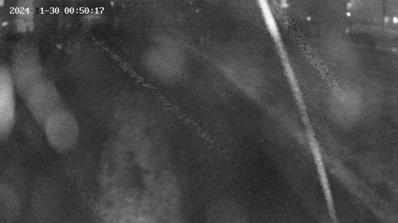 area9-20241130005018.jpg