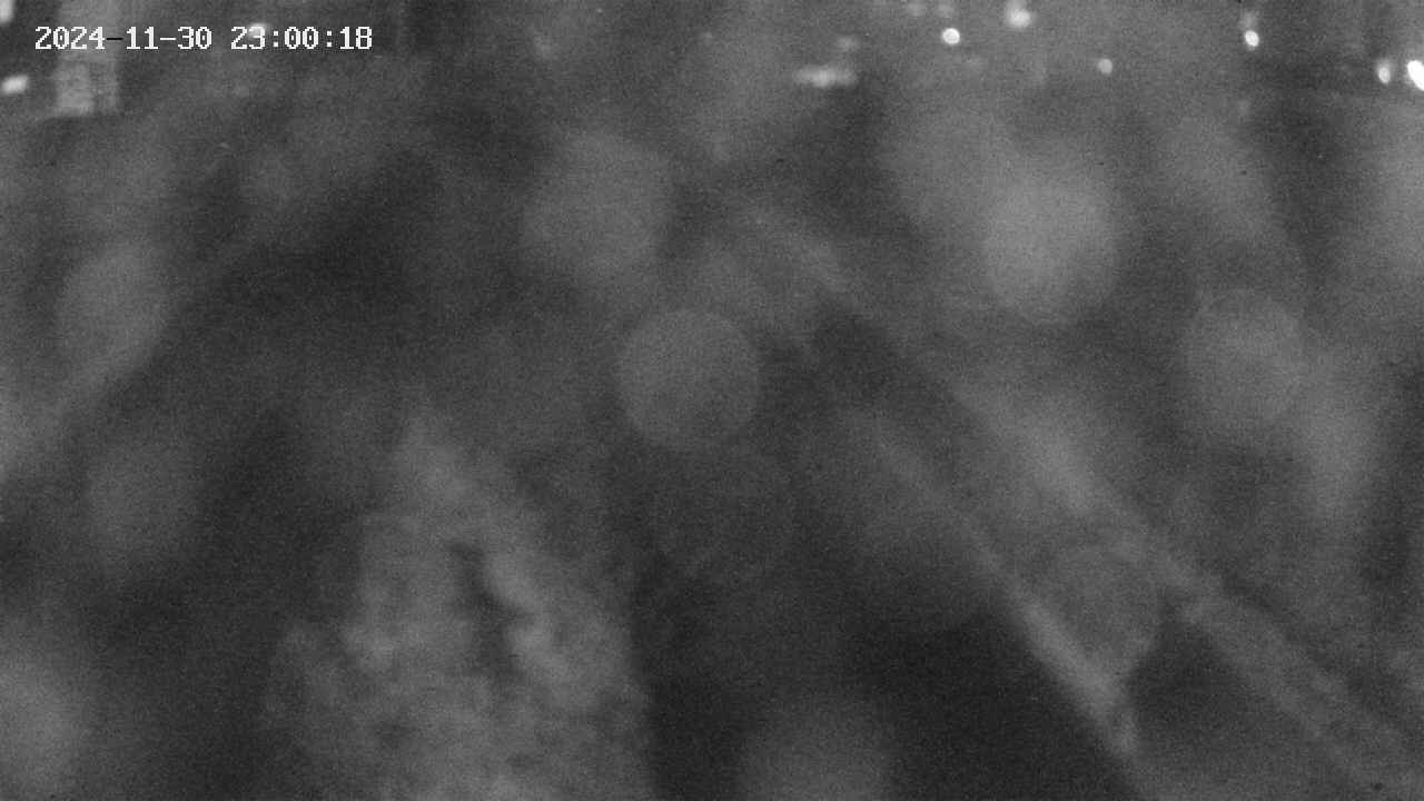 area9-20241130230019.jpg