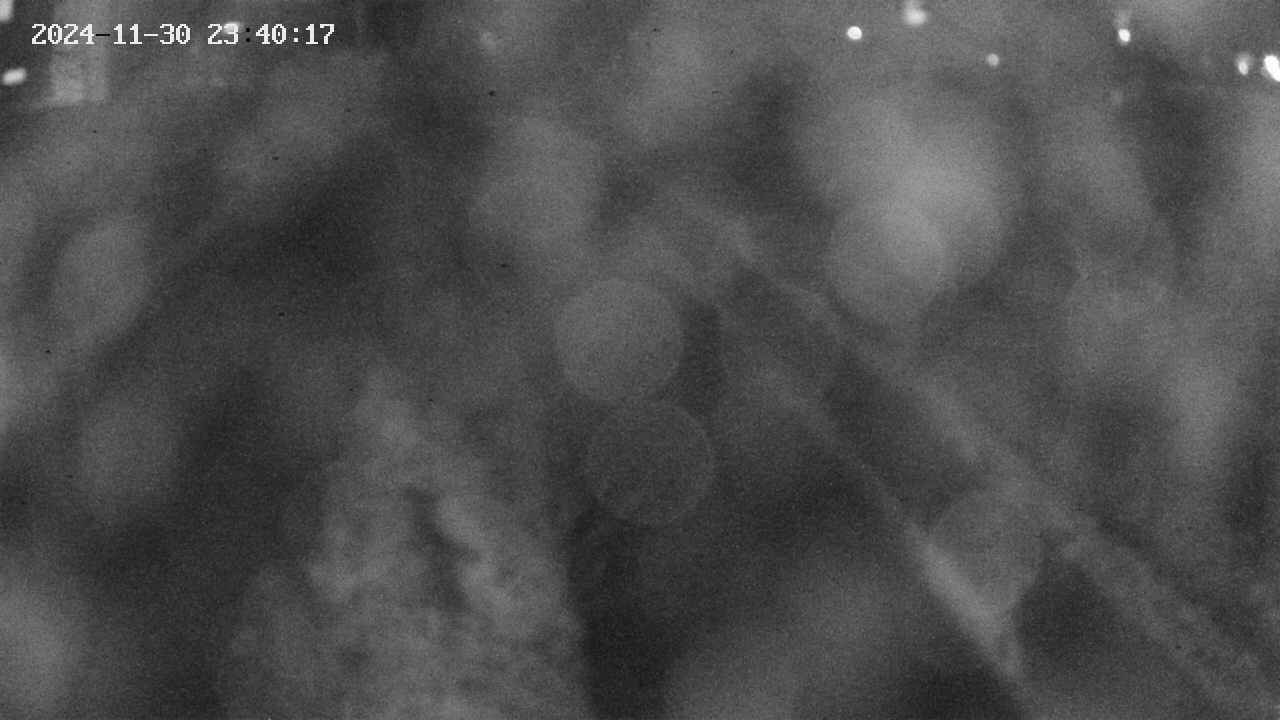 area9-20241130234018.jpg