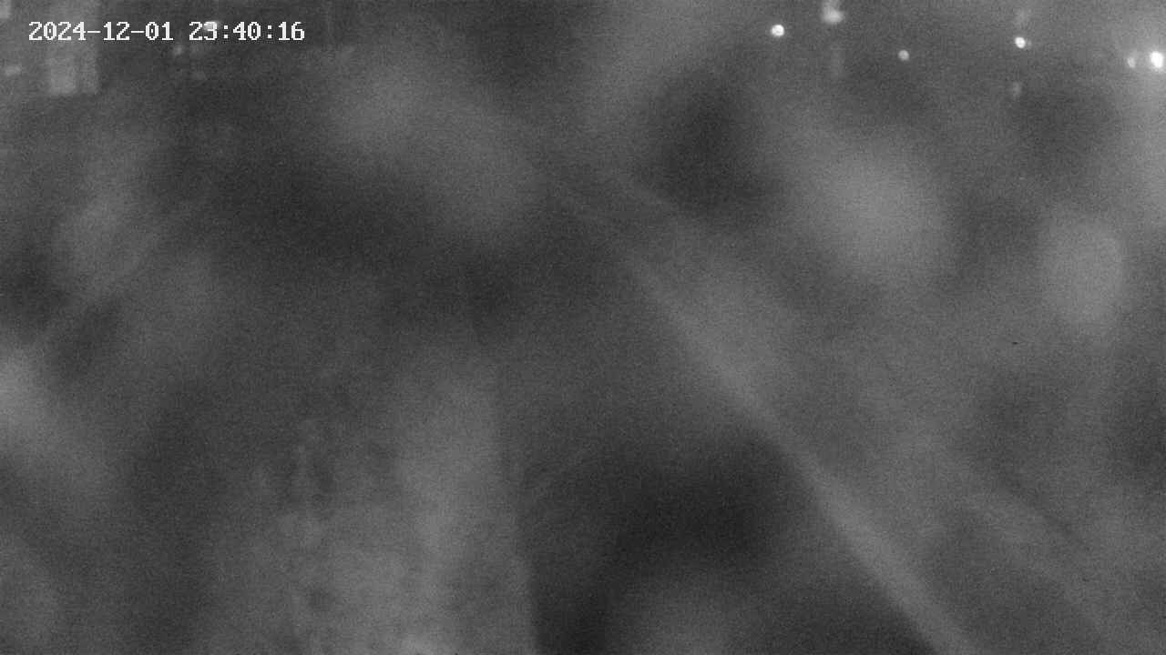 area9-20241201234018.jpg