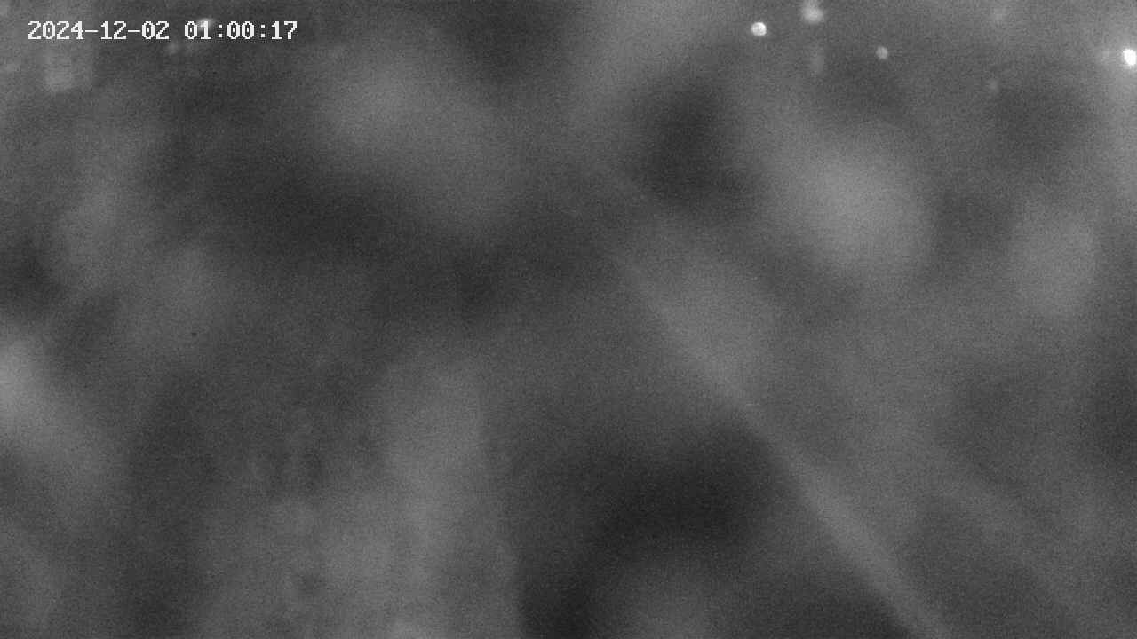 area9-20241202010019.jpg