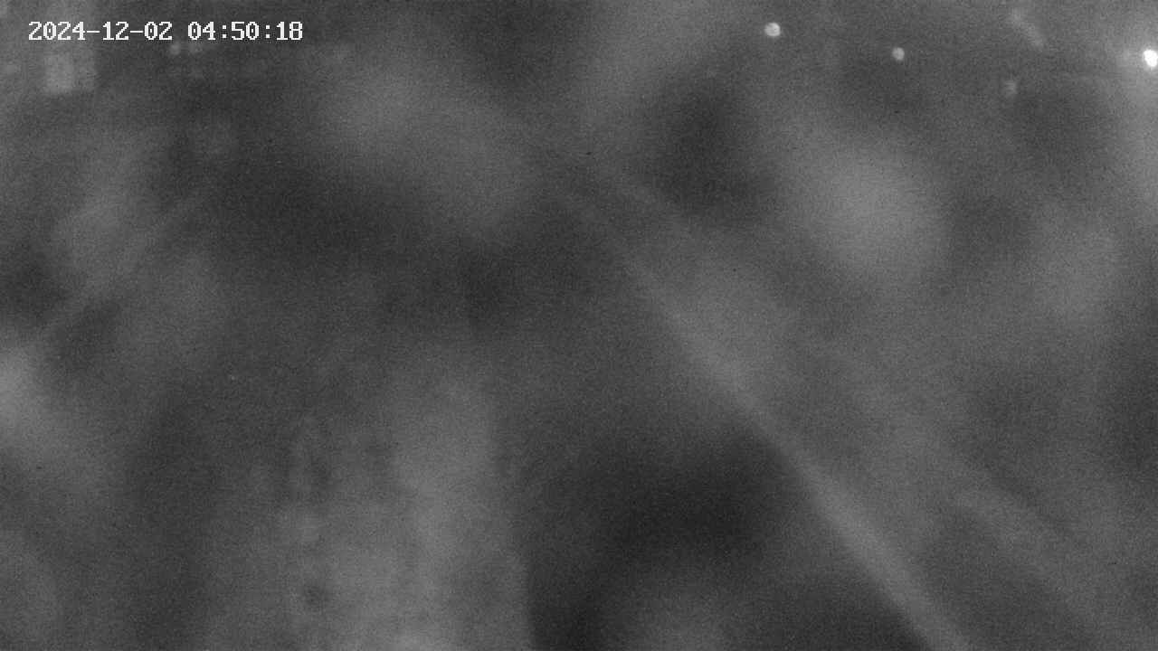 area9-20241202045019.jpg