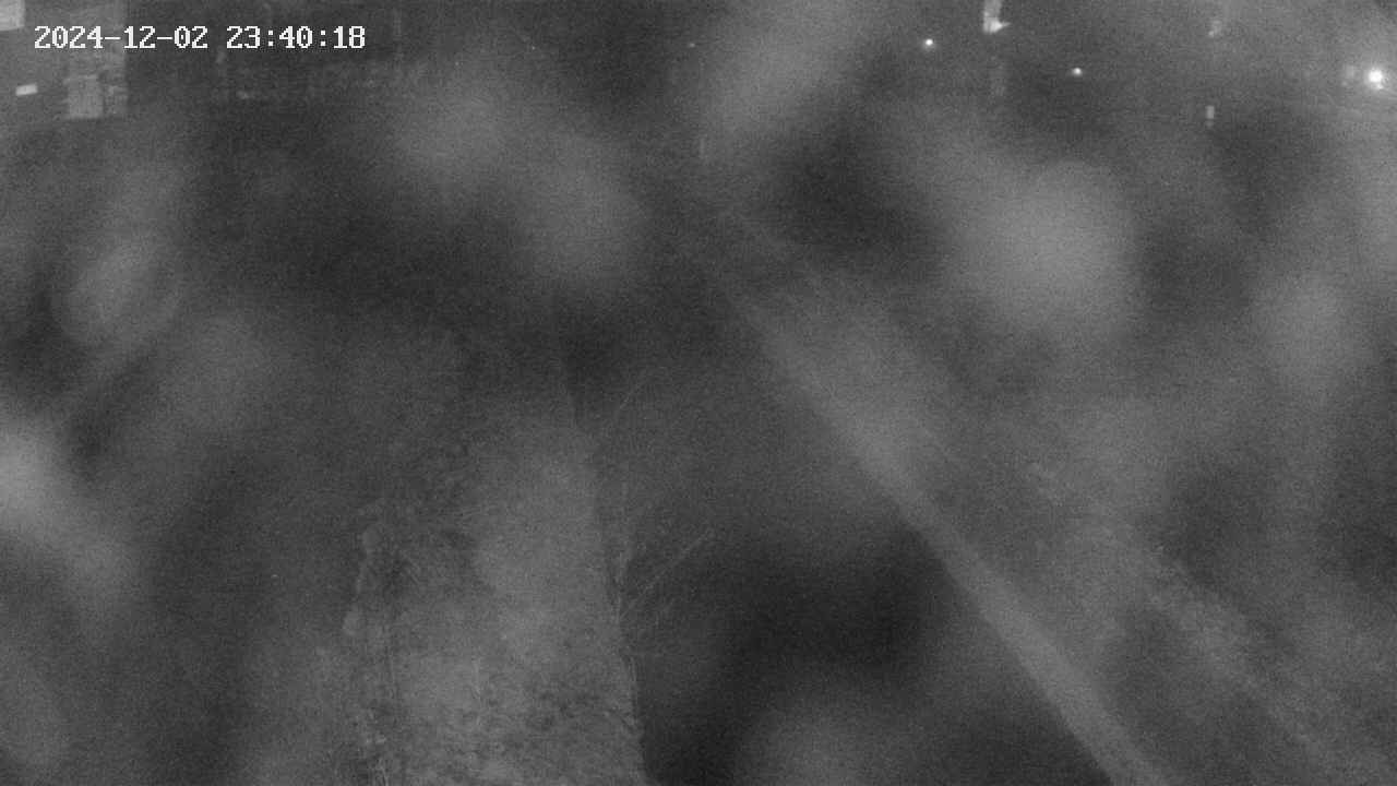 area9-20241202234020.jpg