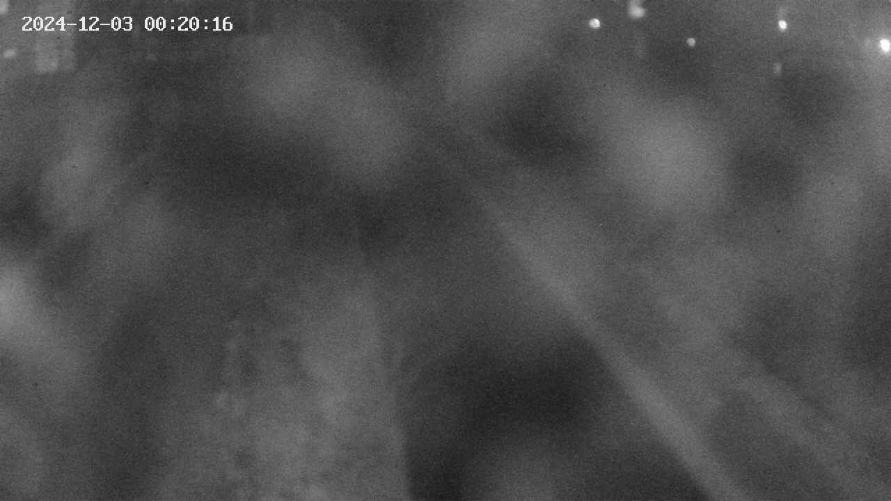 area9-20241203002017.jpg