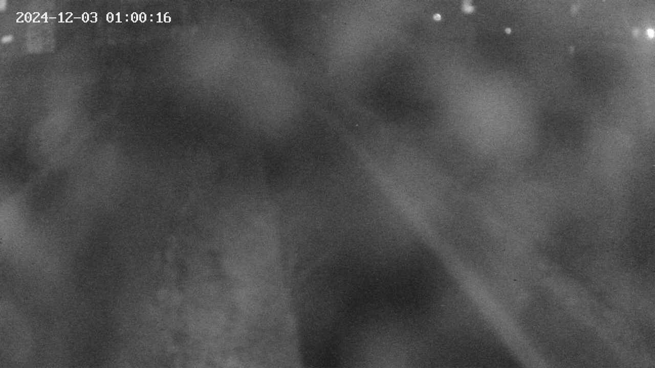 area9-20241203010018.jpg