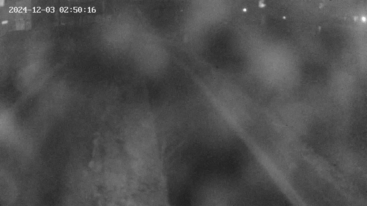 area9-20241203025017.jpg