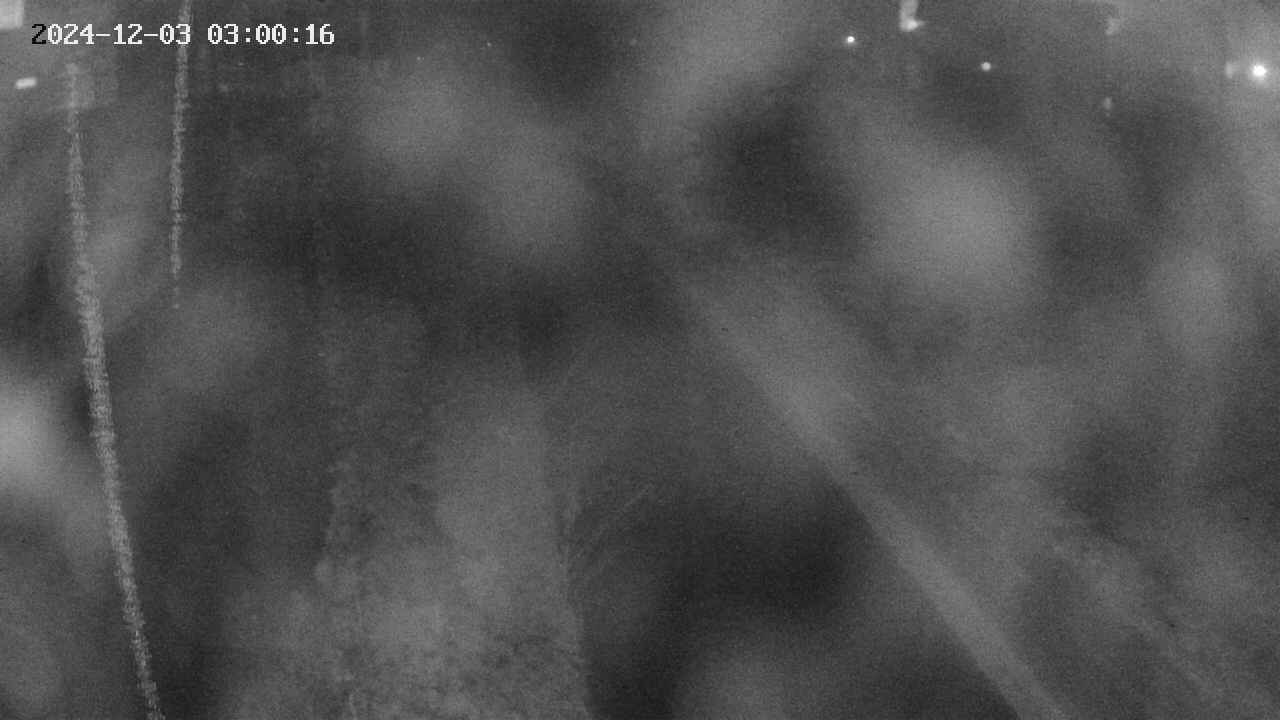 area9-20241203030018.jpg