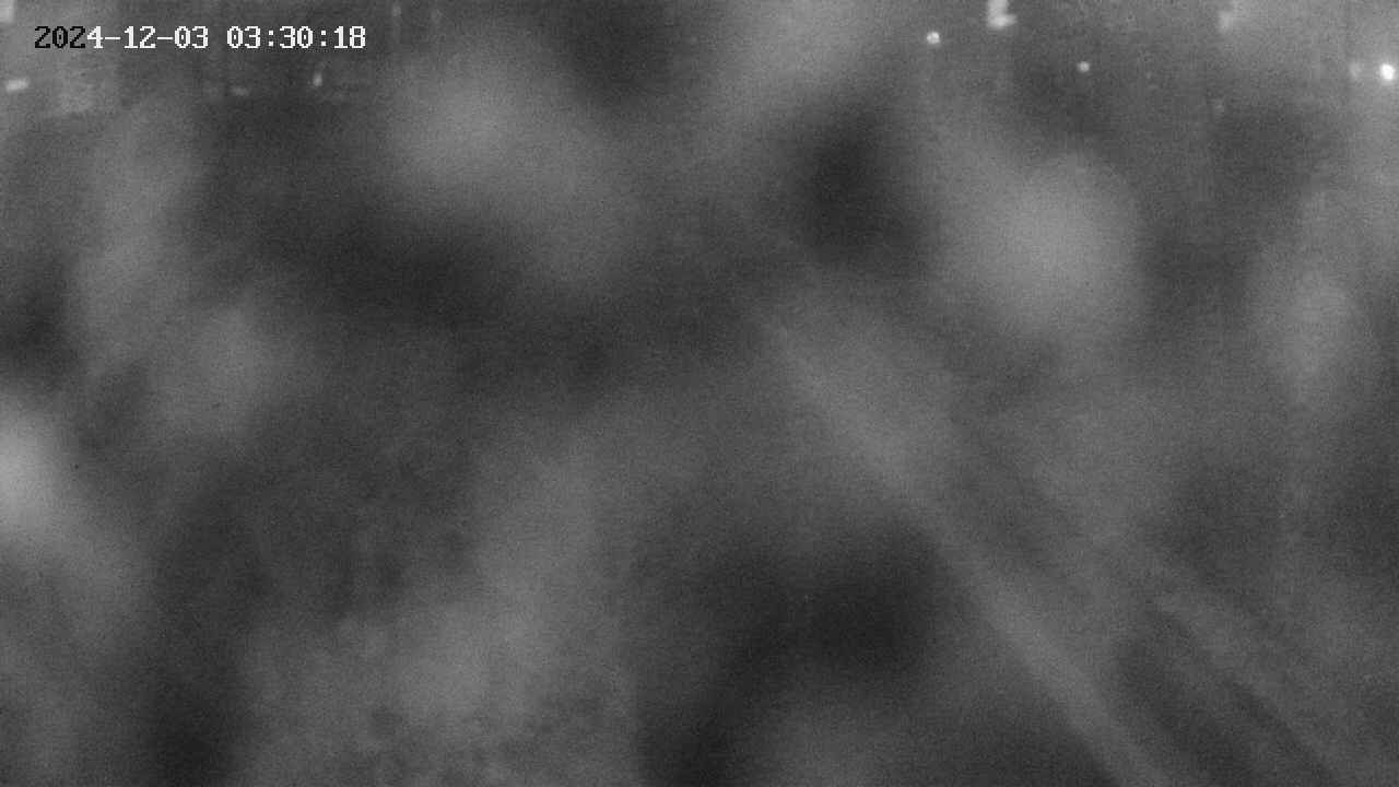 area9-20241203033019.jpg