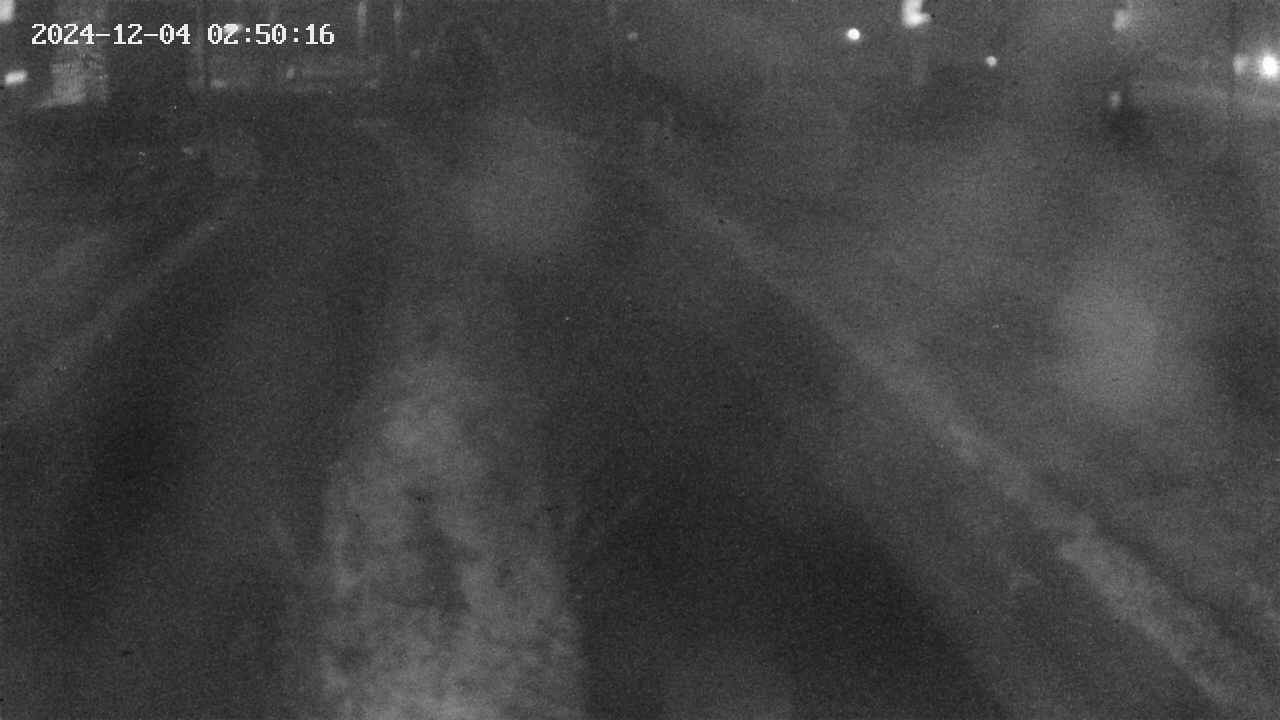 area9-20241204025018.jpg