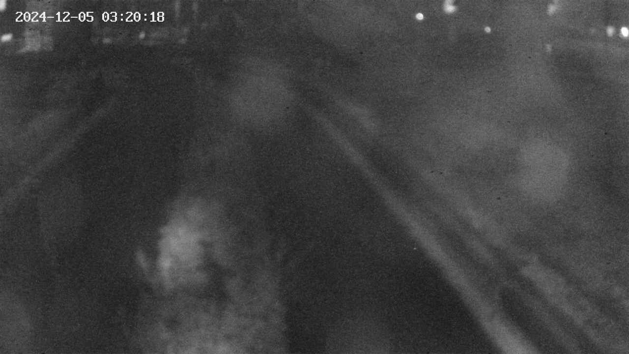 area9-20241205032019.jpg