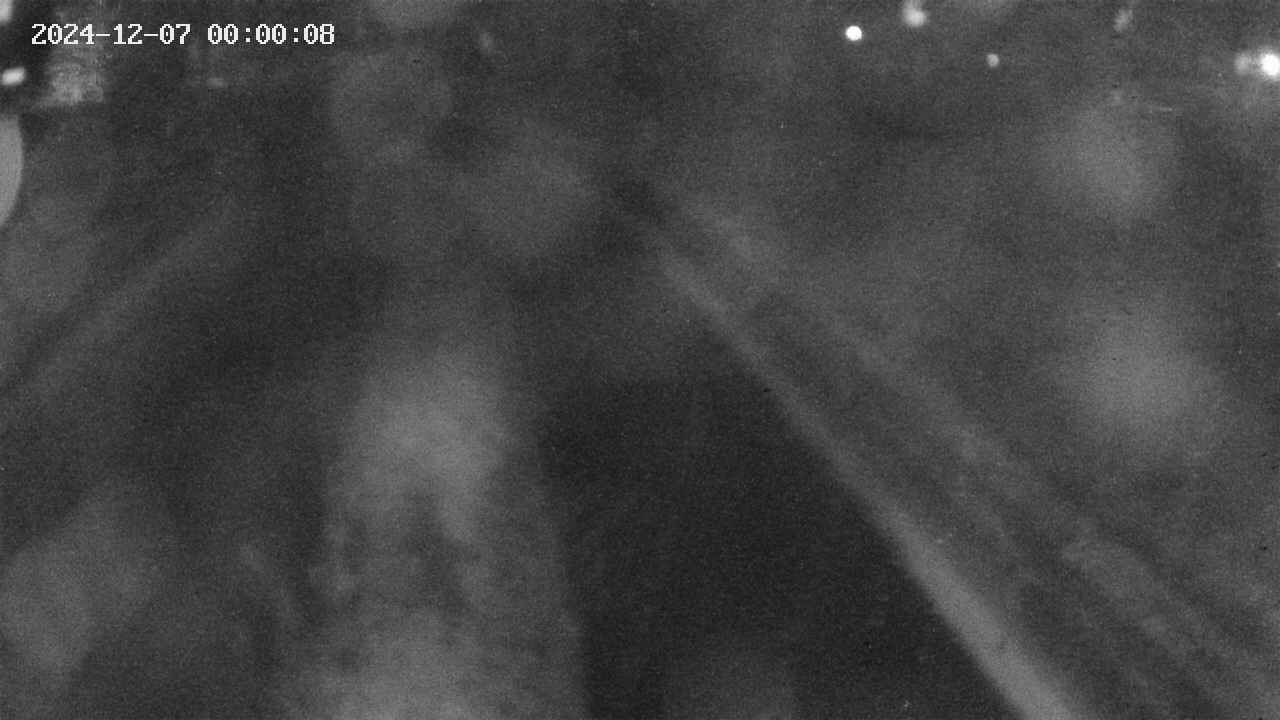 area9-20241207000019.jpg