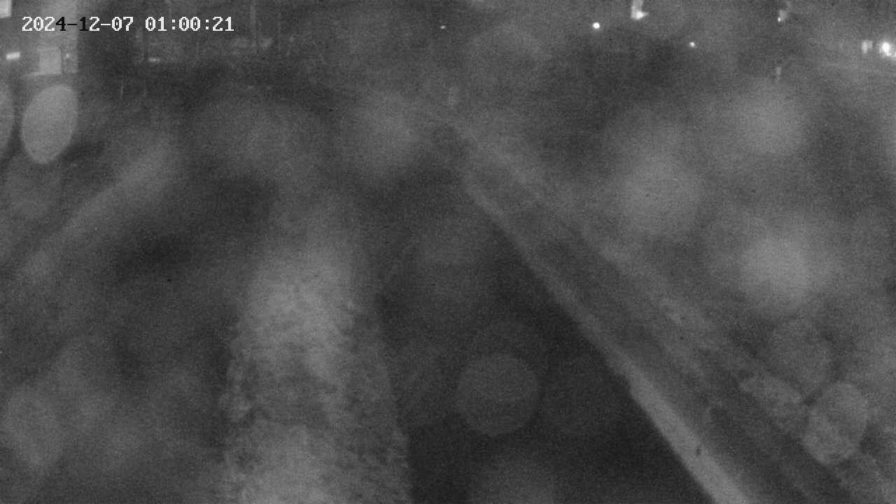 area9-20241207010032.jpg