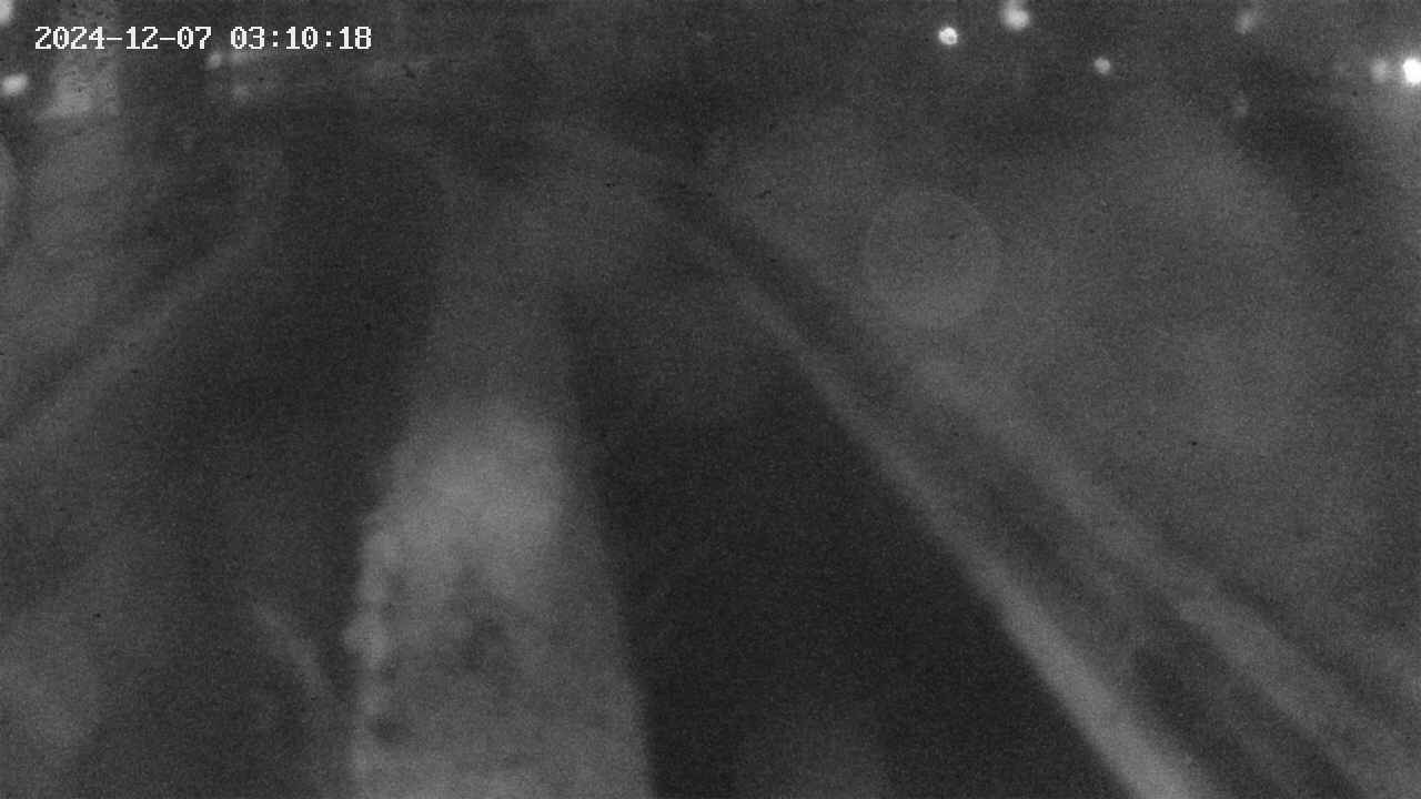 area9-20241207031019.jpg