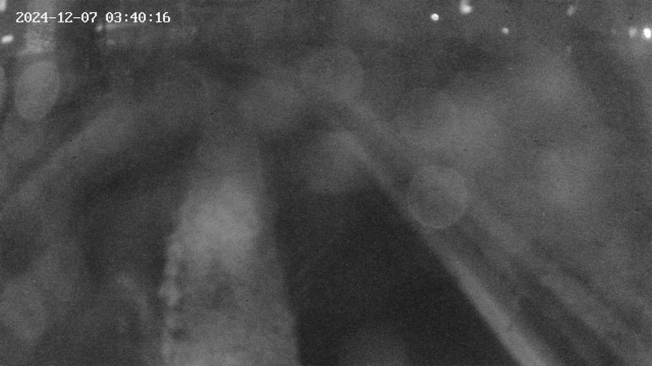 area9-20241207034017.jpg