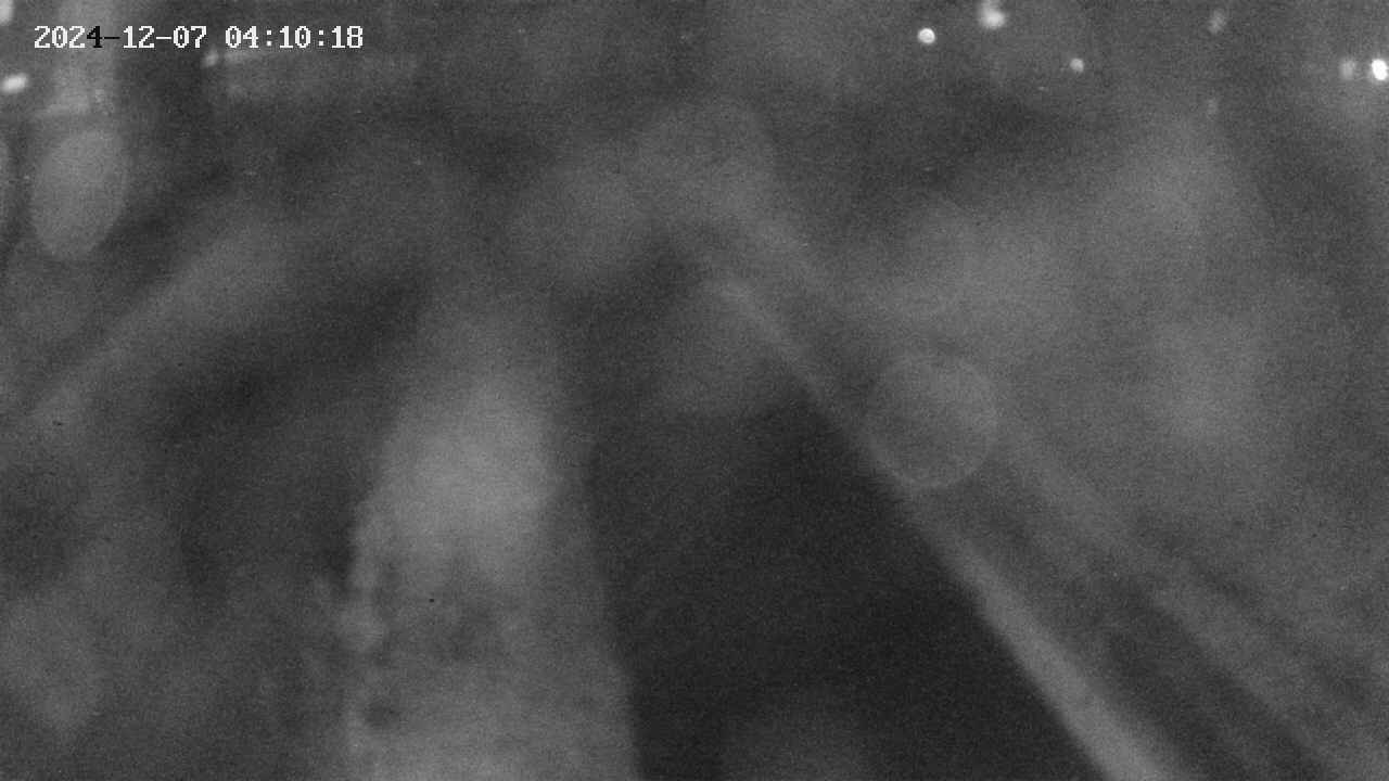 area9-20241207041018.jpg