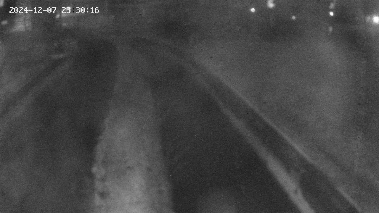 area9-20241207233018.jpg