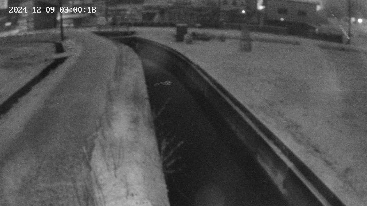 area9-20241209030019.jpg