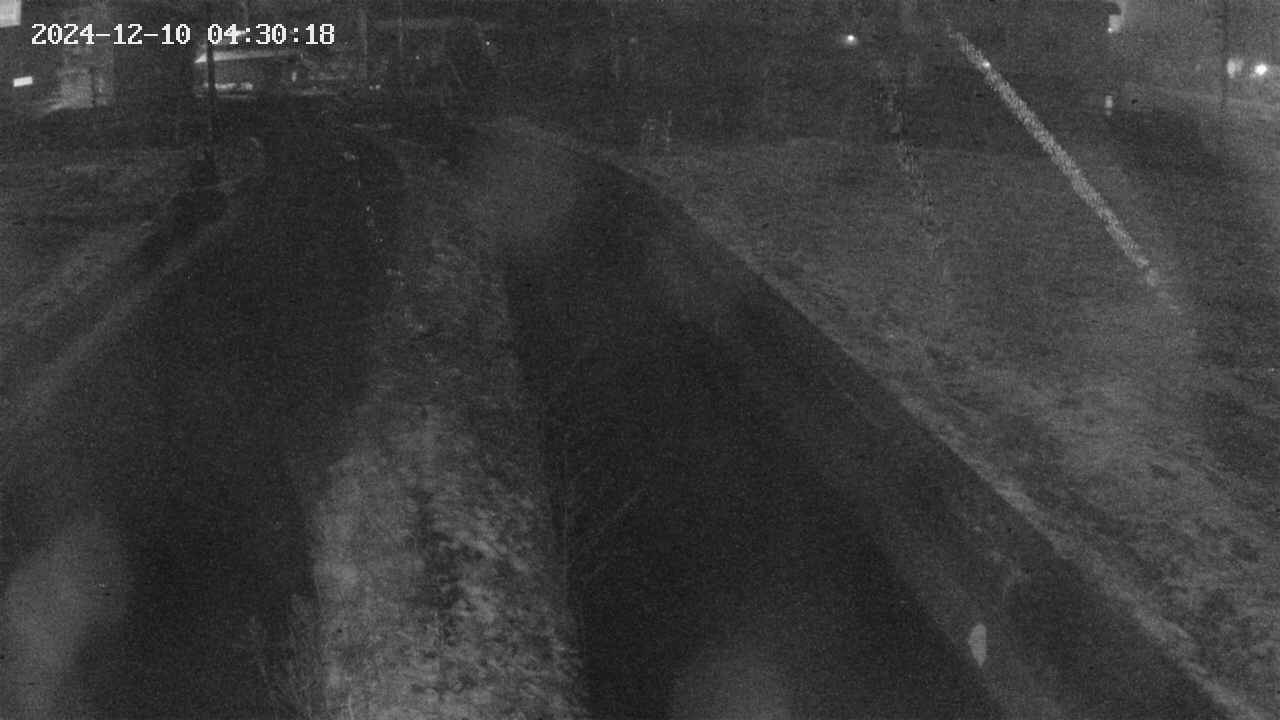 area9-20241210043018.jpg
