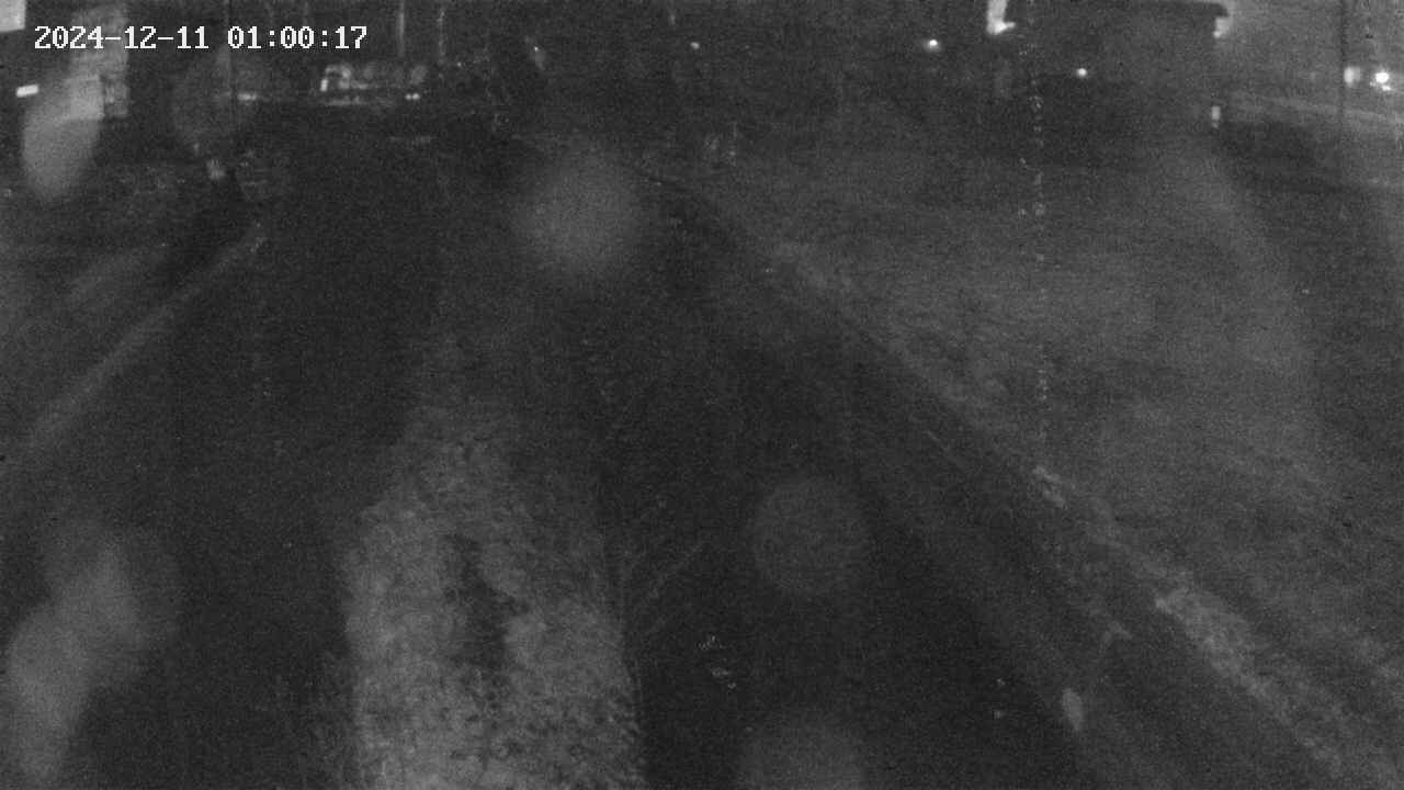 area9-20241211010018.jpg