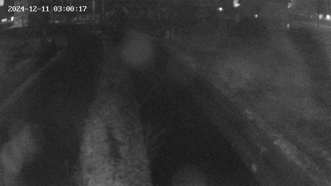 area9-20241211030018.jpg