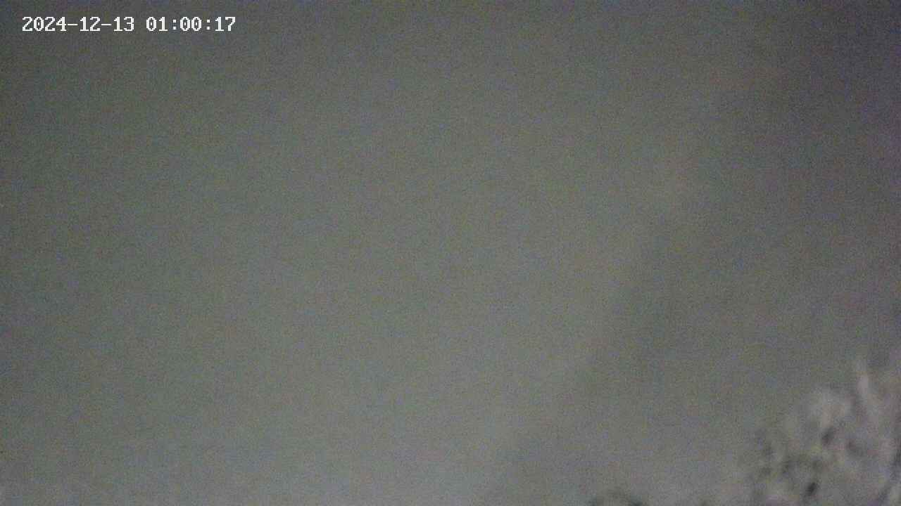 area9-20241213010018.jpg