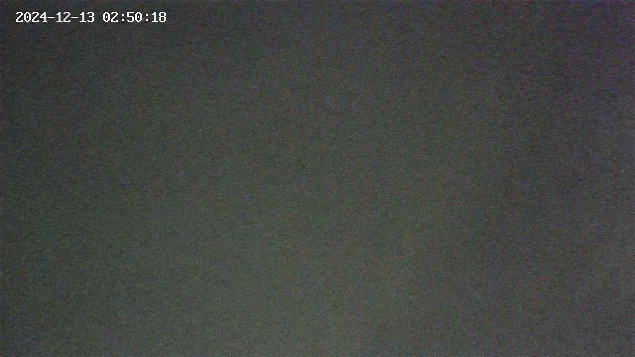area9-20241213025019.jpg