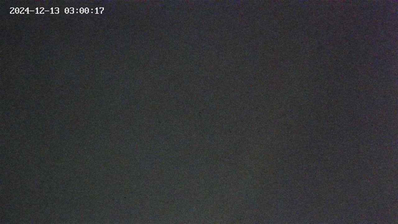 area9-20241213030018.jpg