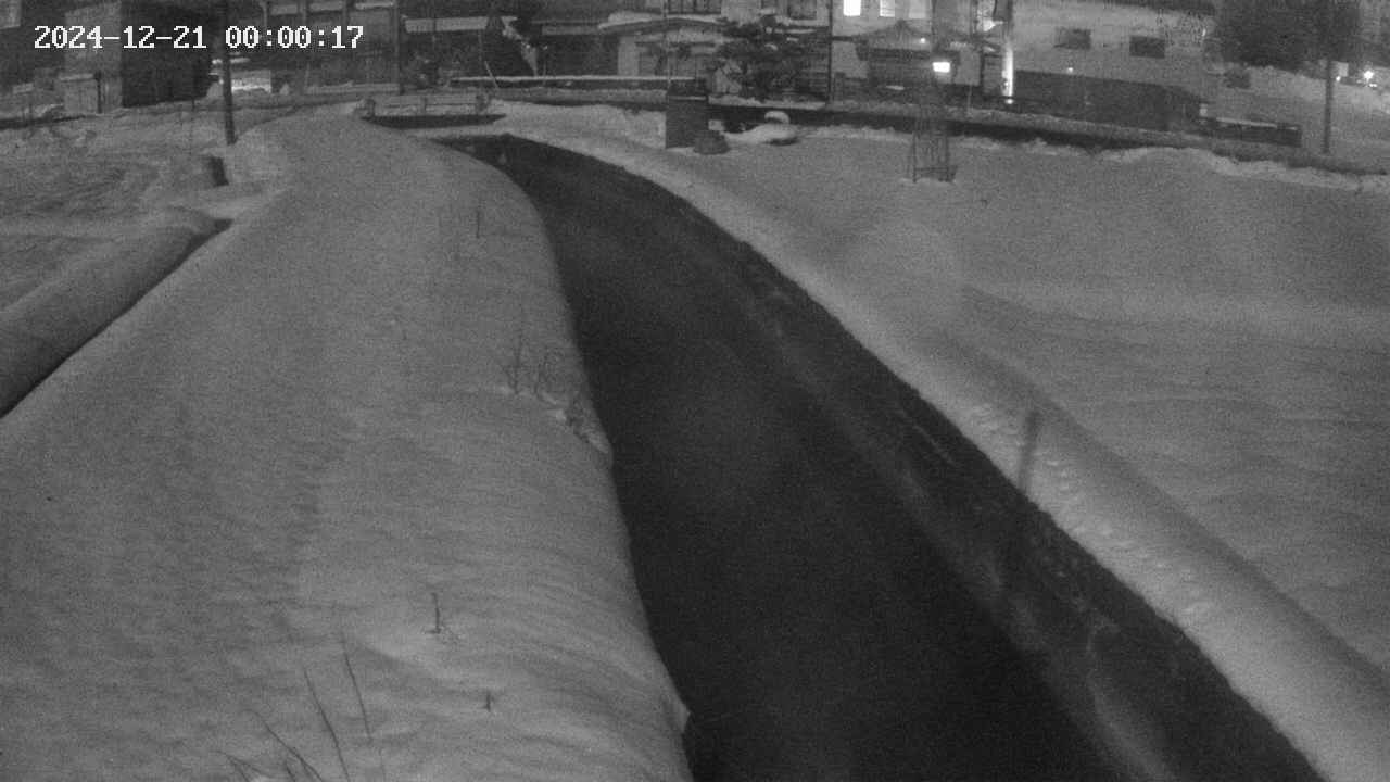 area9-20241221000019.jpg