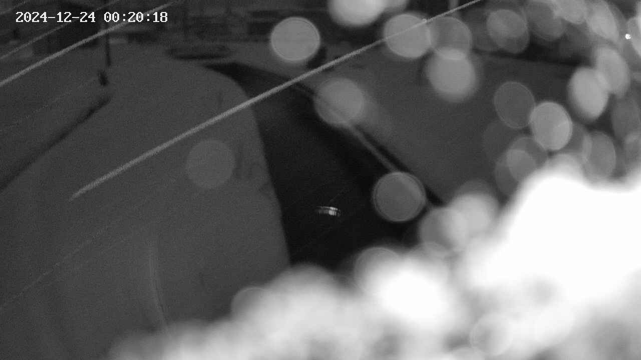 area9-20241224002019.jpg