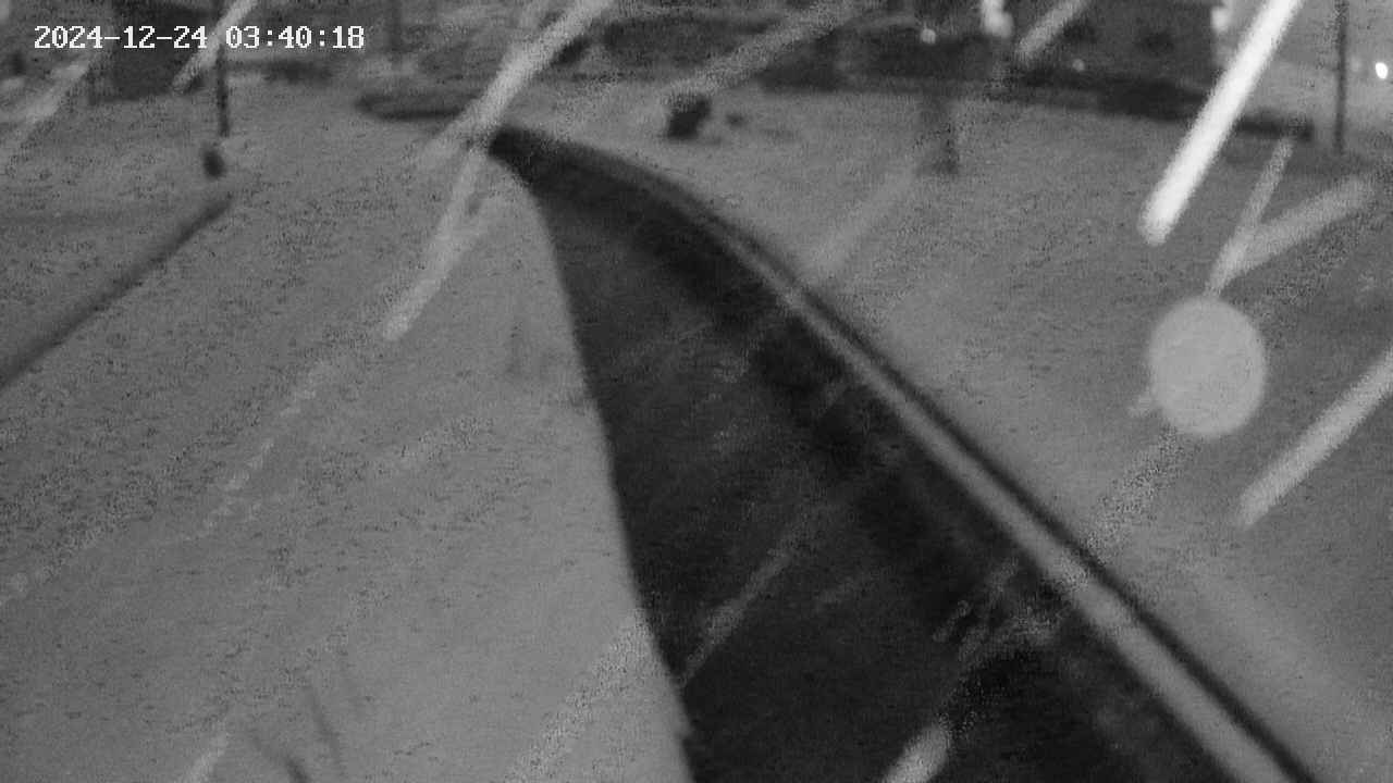 area9-20241224034019.jpg