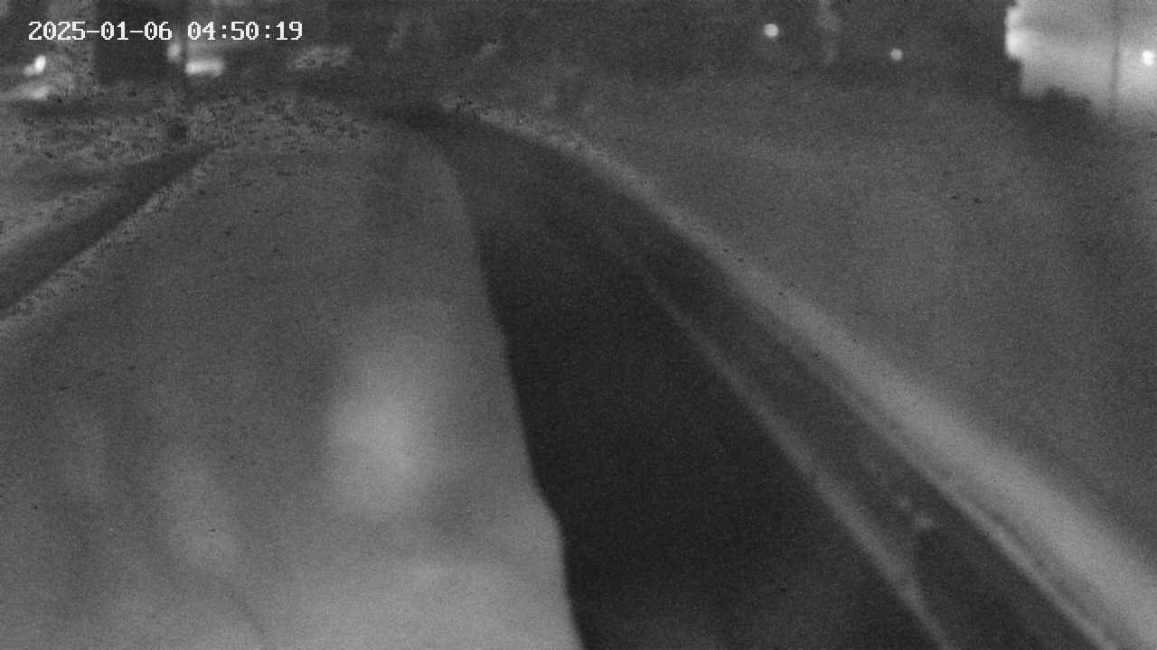 area9-20250106045020.jpg