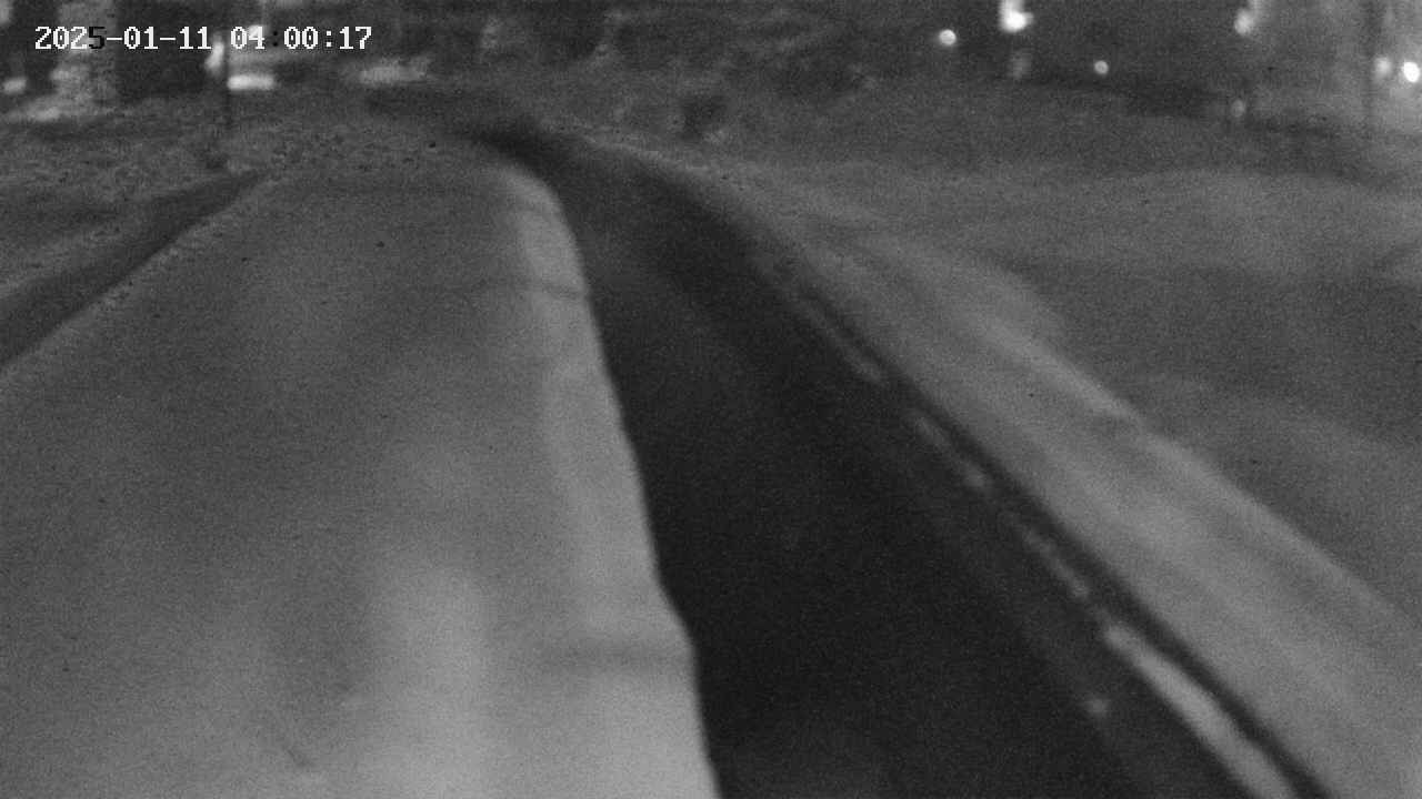 area9-20250111040018.jpg