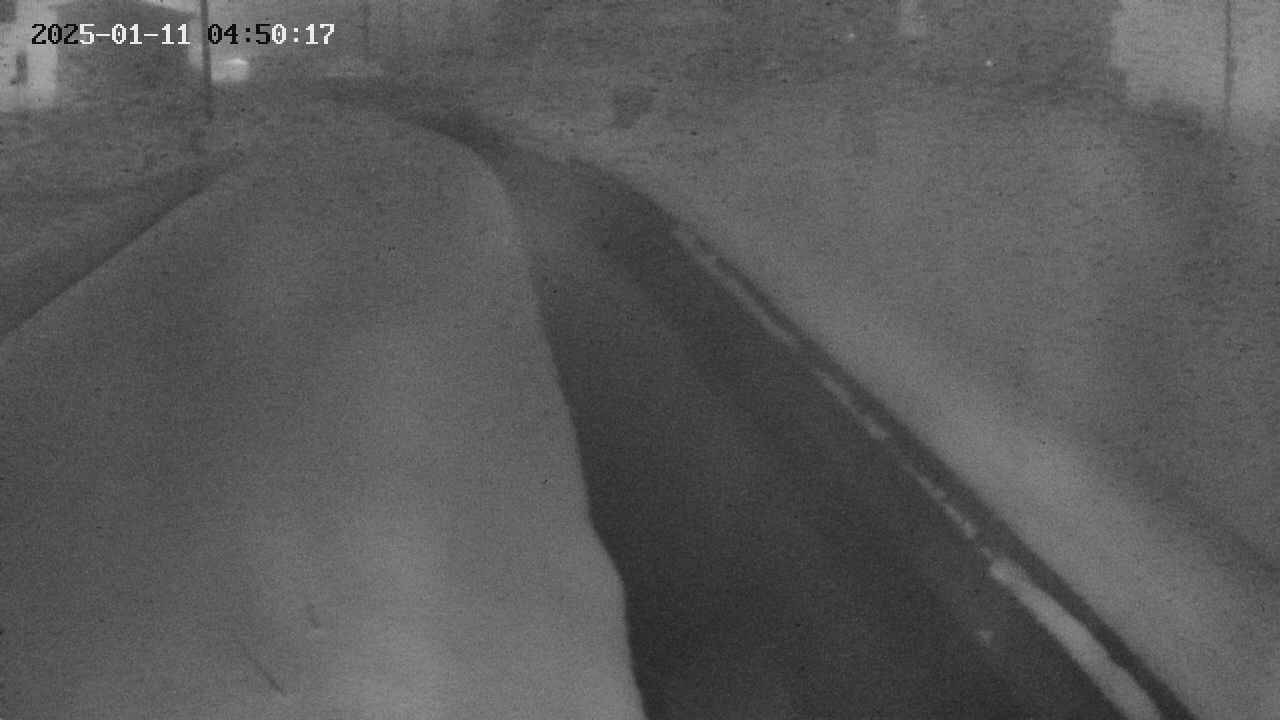 area9-20250111045018.jpg