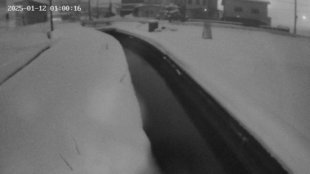 area9-20250112010017.jpg