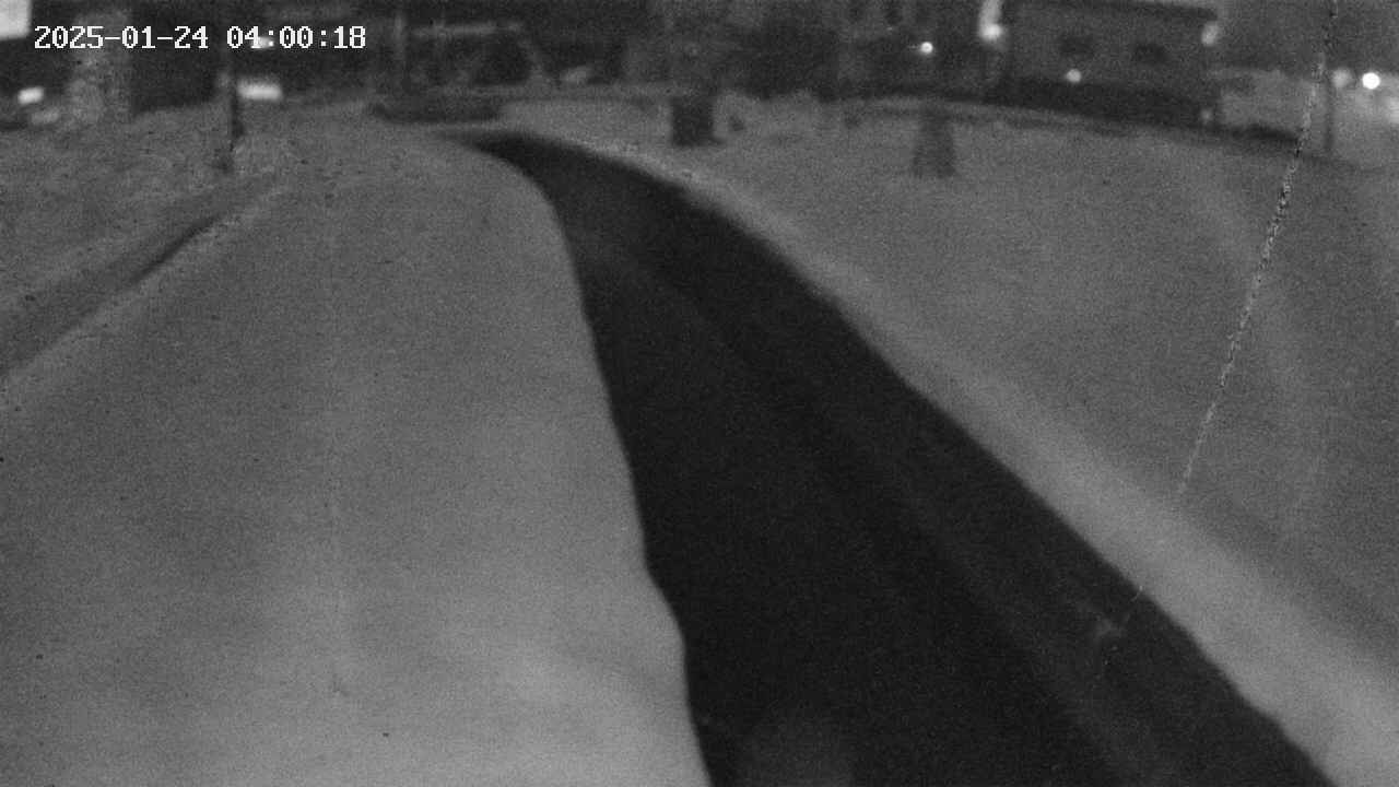 area9-20250124040019.jpg