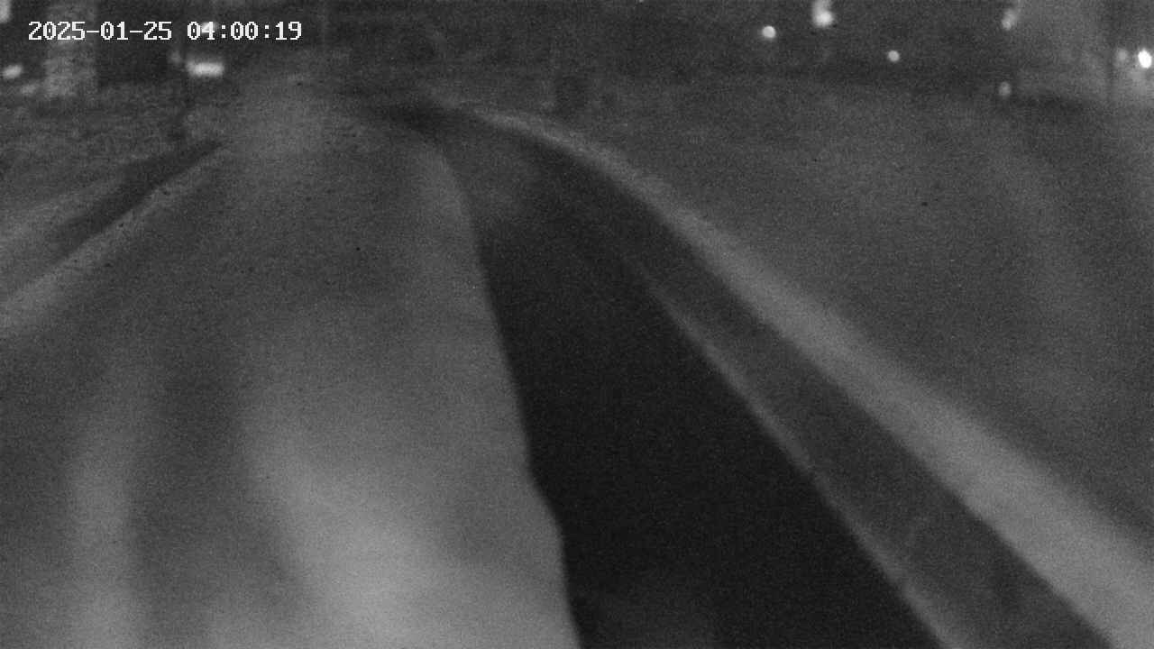 area9-20250125040019.jpg