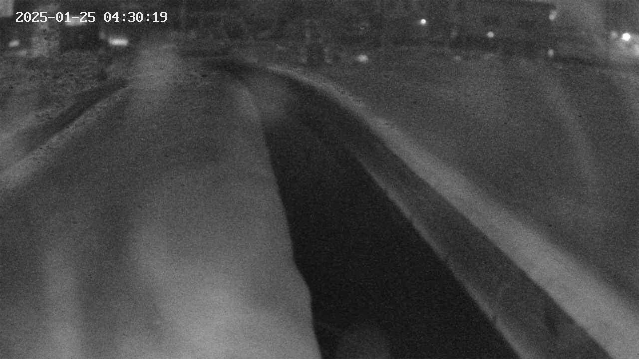 area9-20250125043020.jpg