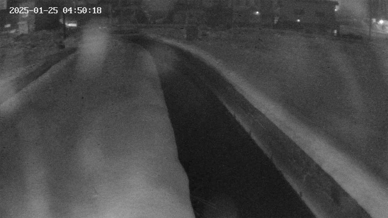 area9-20250125045018.jpg
